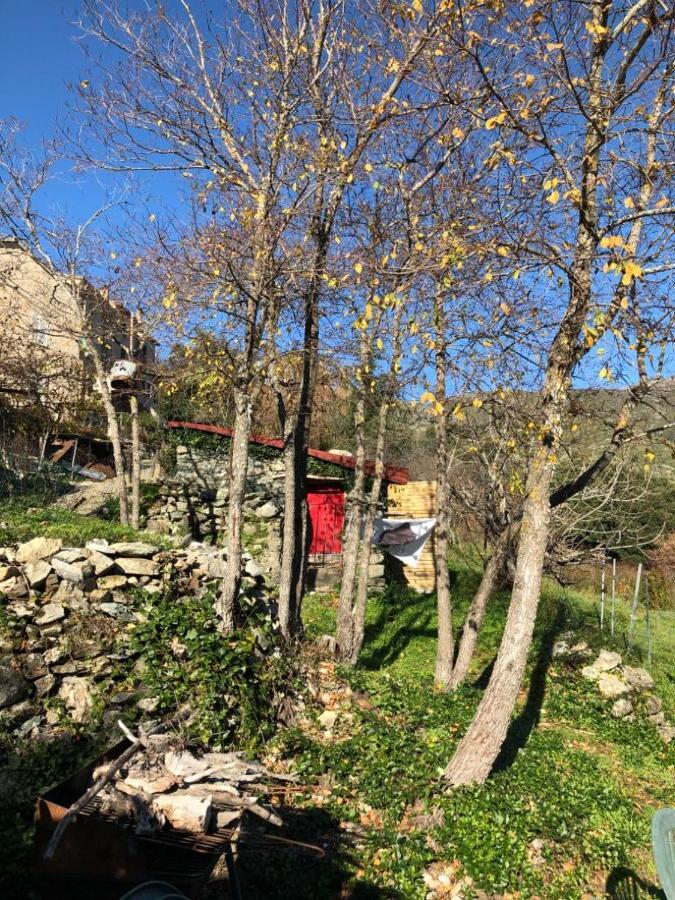 U Paliaghju, Une De Berger Pour Vivre Un Dépaysement Total Campeggio *